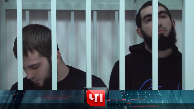 20 ноября 2024 года