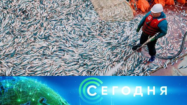 11 декабря 2024 года. 16:00