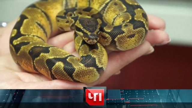 27 декабря 2024 года