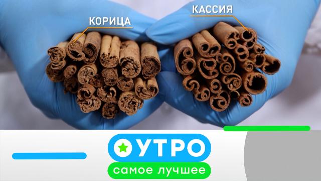 23 января 2025 года