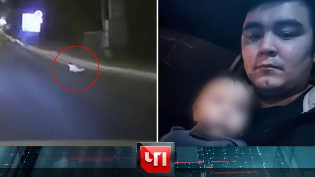 7 февраля 2025 года