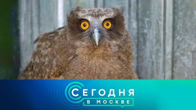 7 февраля 2025 года. 16:20