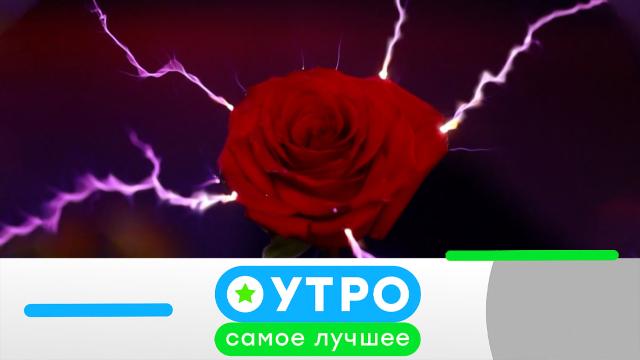 20 февраля 2025 года