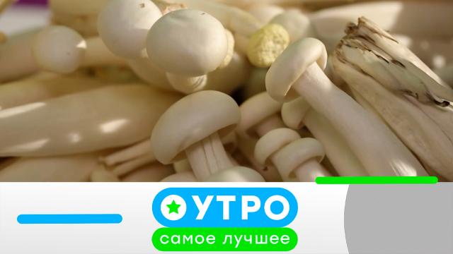 25 февраля 2025 года