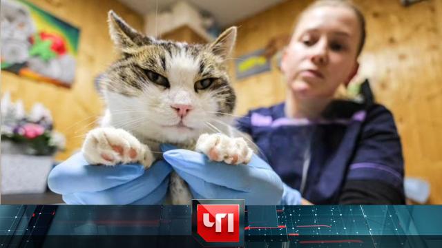 26 февраля 2025 года