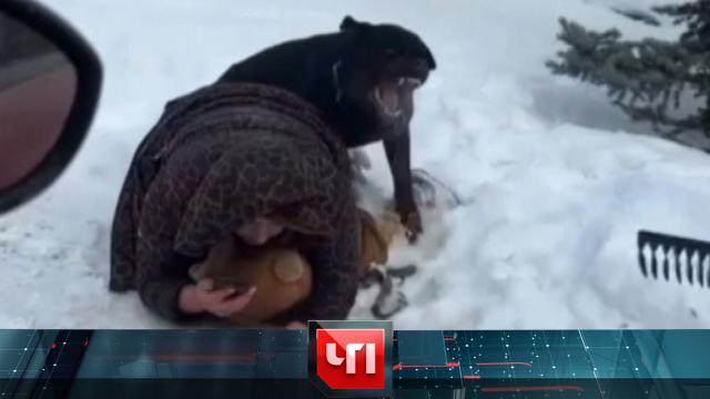 27 февраля 2025 года