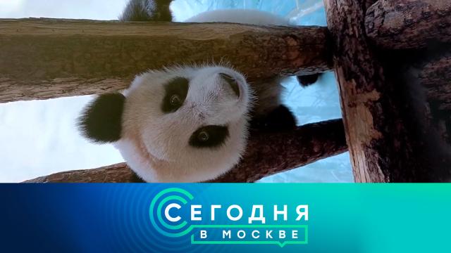 3 марта 2025 года. 23:35