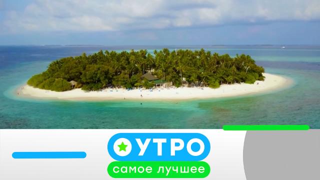 17 марта 2025 года