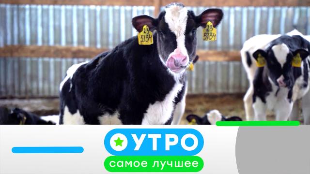 16 апреля 2025 года