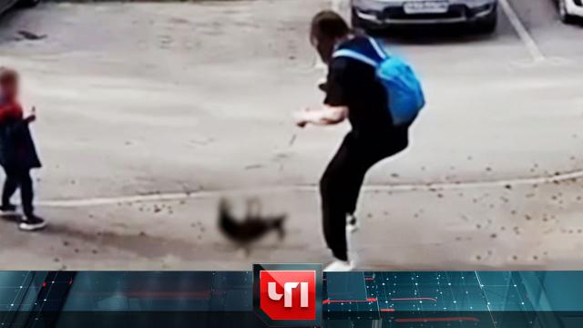 28 апреля 2025 года