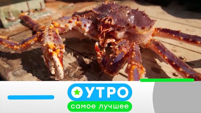 22 мая 2025 года