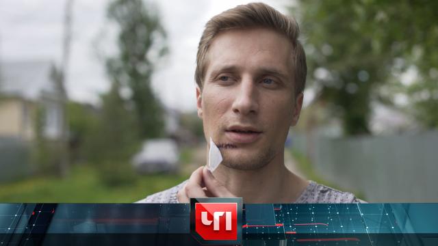 29 мая 2025 года