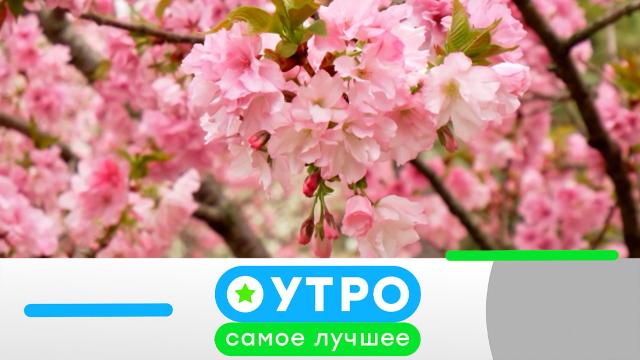 2 июня 2025 года