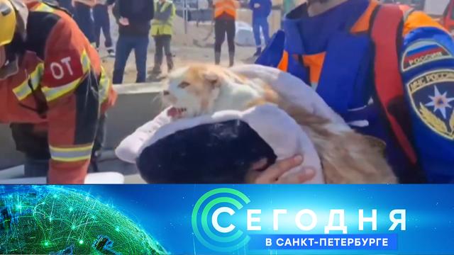 3 июня 2025 года. 19:20