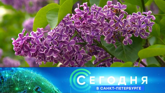 9 июня 2025 года. 19:20