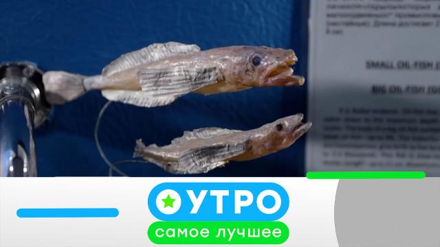 9 июня 2025 года