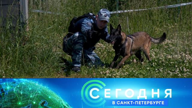 23 июня 2025 года. 19:20