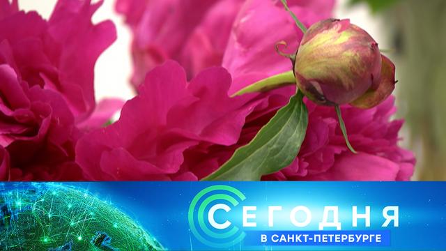 25 июня 2025 года. 19:20