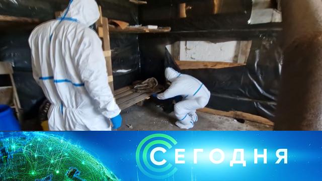 1 июля 2025 года. 10:00