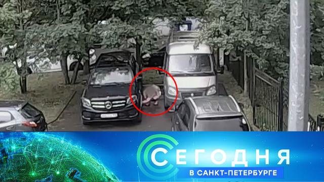 3 июля 2025 года. 16:20