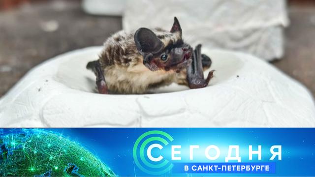 8 июля 2025 года. 16:20