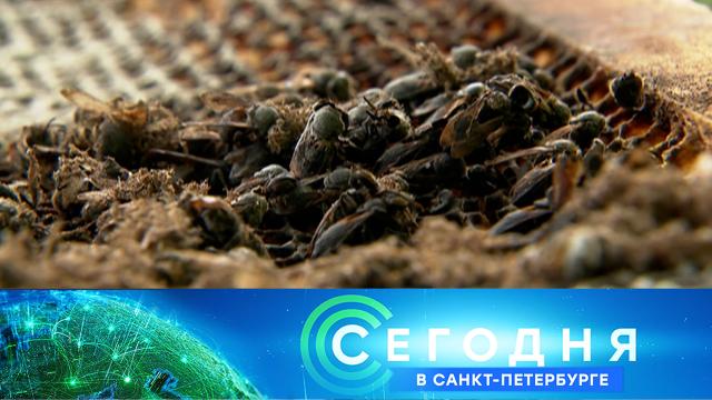 9 июля 2025 года. 19:20