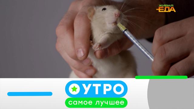 16 июля 2025 года