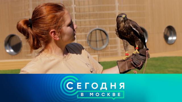 25 июля 2025 года. 16:20