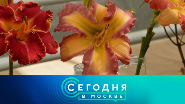 29 июля 2025 года. 23:35