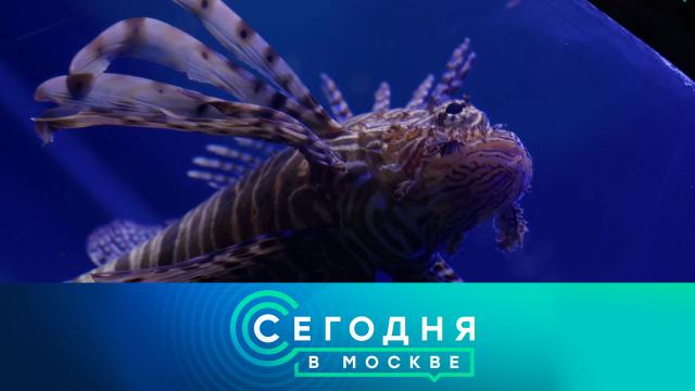 5 августа 2025 года. 23:35