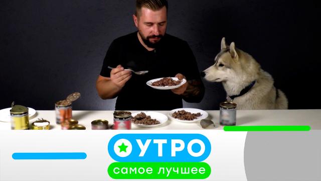 11 августа 2025 года