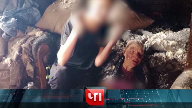 8 сентября 2025 года