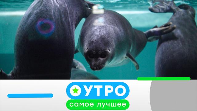 15 сентября 2025 года