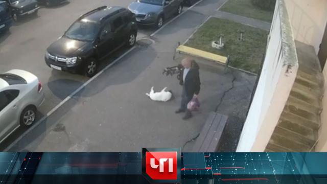 7 октября 2025 года