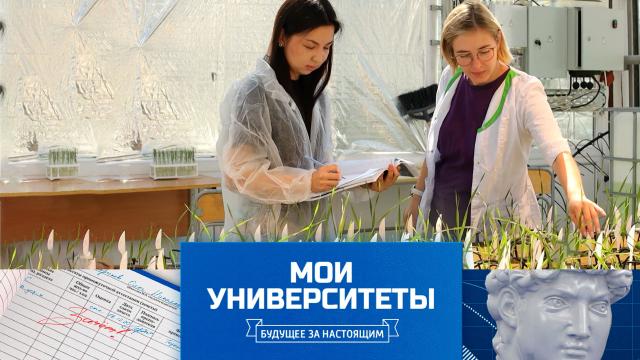 Пт 08:25 Мои университеты. Будущее за настоящим