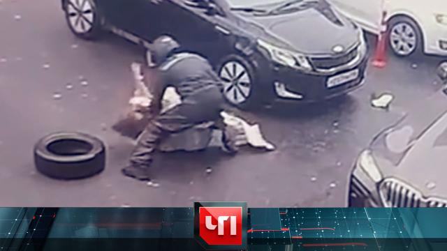 5 ноября 2025 года