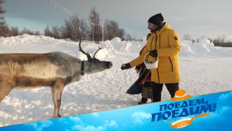      :     -! «, !» —    08:20..Ru: , ,   