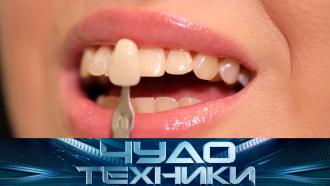  :             ? « » —  ..Ru: , ,   