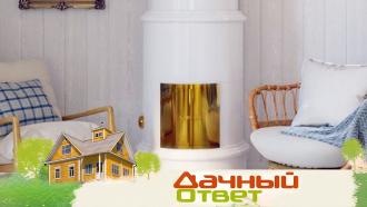 ��� �&nbsp;�����: ������������� �������� �&nbsp;����������� �����. &laquo;������ �����&raquo;&nbsp; �&nbsp;����������� �� ���.���.Ru: �������, �����, ��������� ���������� ���