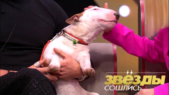 Вс 23:25 Звезды сошлись