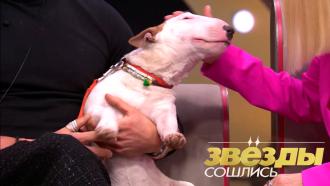 &laquo;������ �������&raquo;, ����� �������� ���� ������� �����&nbsp; �&nbsp;�����������.���.Ru: �������, �����, ��������� ���������� ���