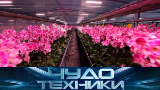 ��� ���������� �������� ���������� ������� �&nbsp;��� �������� ����������� ���������� ����? &laquo;���� �������&raquo;&nbsp; �� ���.���.Ru: �������, �����, ��������� ���������� ���