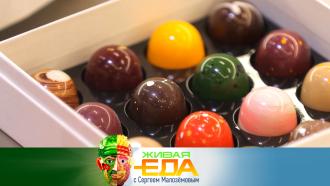 ��� ������ ���������� ������� �&nbsp;��� ������ ����������� ����� &laquo;������&raquo;? &laquo;����� ���&raquo;&nbsp; �&nbsp;������� �&nbsp;11:00.���.Ru: �������, �����, ��������� ���������� ���