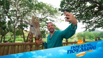 ������� �&nbsp;������� �� ������� ��������: ����� ����������� �������� ��������&nbsp; �&nbsp;������� �&nbsp;��������� &laquo;������, ������!&raquo;.���.Ru: �������, �����, ��������� ���������� ���