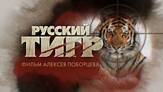 ������� ����.���.Ru: �������, �����, ��������� ���������� ���