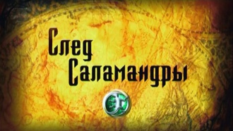 ������������� ������ &laquo;���� ����������&raquo;.���.Ru: �������, �����, ��������� ���������� ���