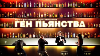 &laquo;��� ��������&raquo;. ������� ������������� ������ ���������.���.Ru: �������, �����, ��������� ���������� ���