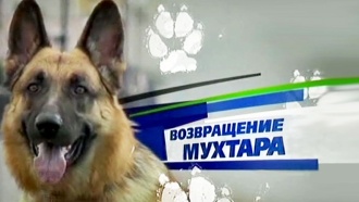 ������ &laquo;����������� �������&raquo;.�������, �������, ������.���.Ru: �������, �����, ��������� ���������� ���