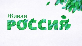 ����� ������.���.Ru: �������, �����, ��������� ���������� ���