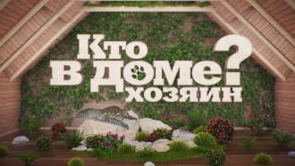 ��� � ���� ������?���.Ru: �������, �����, ��������� ���������� ���